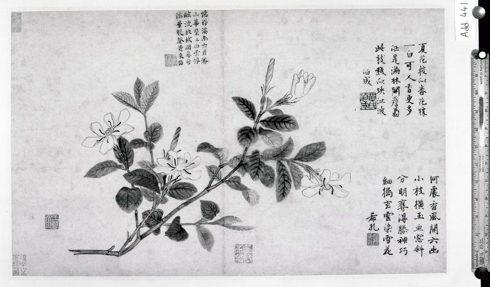 图片[1]-album; painting; hanging scroll BM-1983-0705-0.1-China Archive